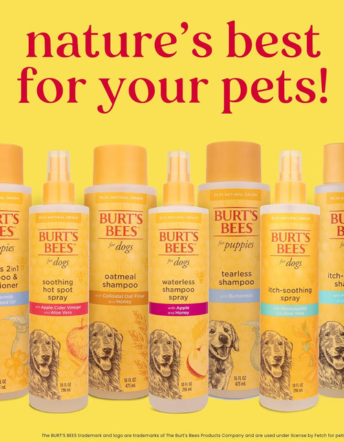 Load image into Gallery viewer, Burt&#39;S Bees for Dogs Natural Waterless Shampoo Spray for Dogs, Apple and Honey Waterless Shampoo Spray, Dogs Shampoo, Dog Bathing Supplies, Dog Wash, Dog Grooming Supplies, Dog Spray
