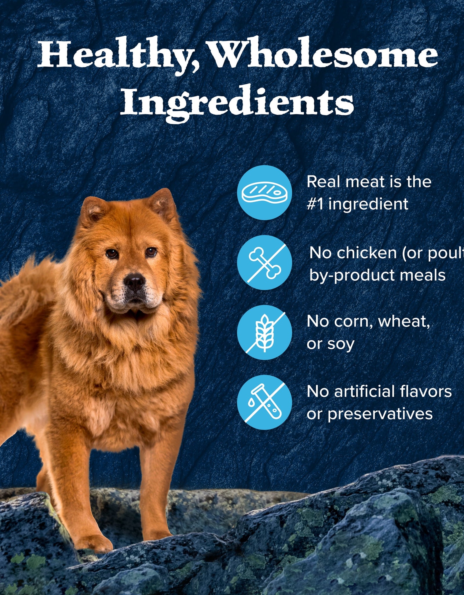 Wilderness Wild Cuts Wet Dog Food Toppers, Chicken & Beef, 3-Oz. (12 Count)