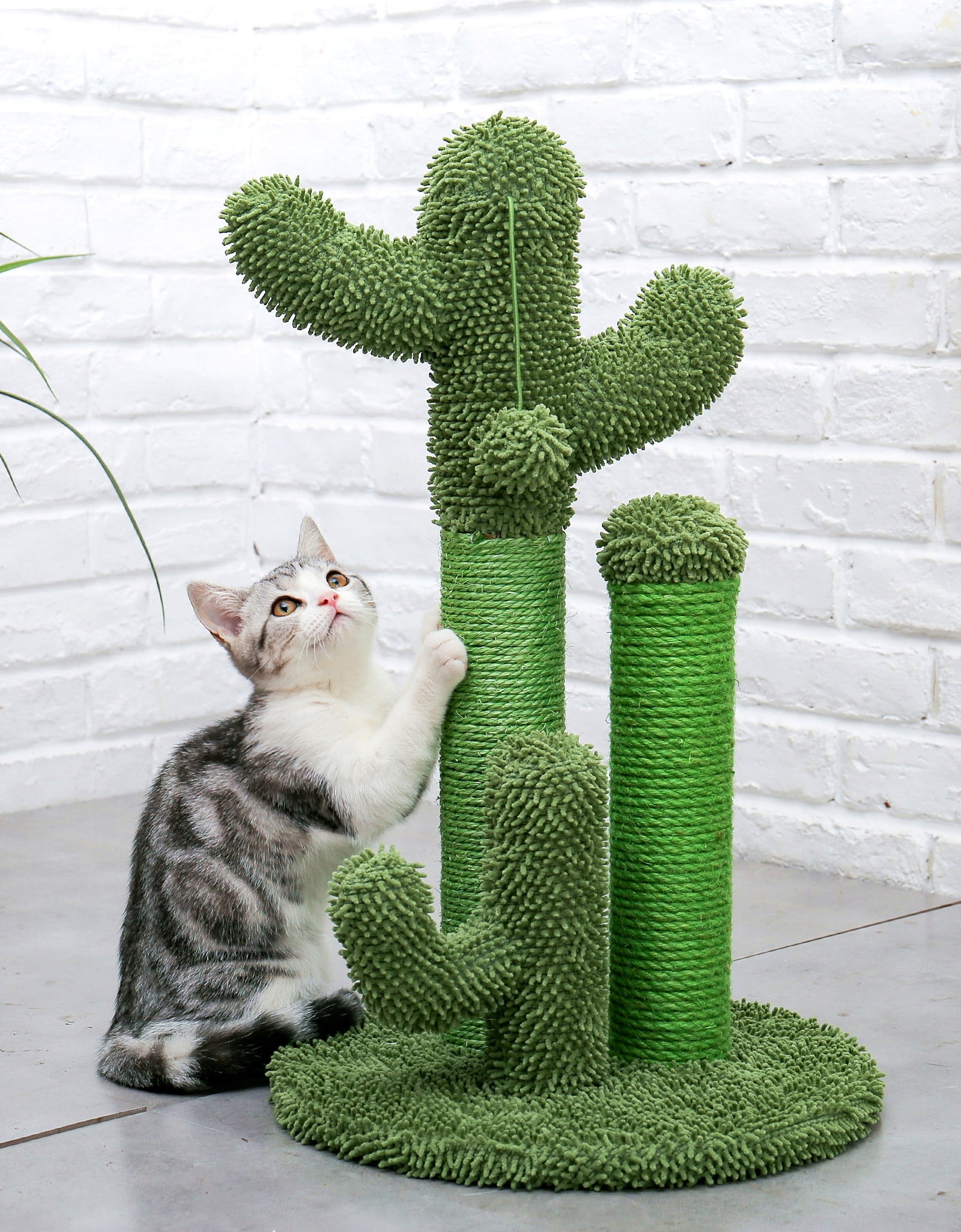 23" Cactus Cat Scratching Posts Medium Sisal Cat Scratcher,Green