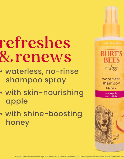 Load image into Gallery viewer, Burt&#39;S Bees for Dogs Natural Waterless Shampoo Spray for Dogs, Apple and Honey Waterless Shampoo Spray, Dogs Shampoo, Dog Bathing Supplies, Dog Wash, Dog Grooming Supplies, Dog Spray
